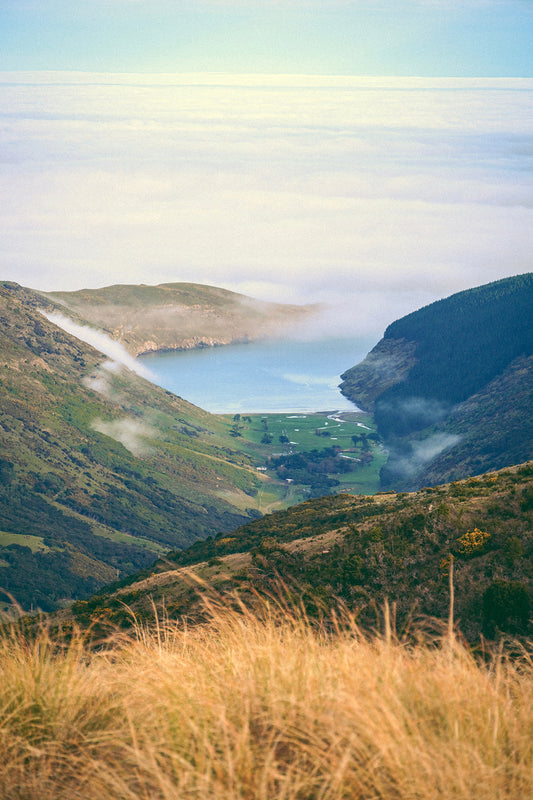 New Zealand